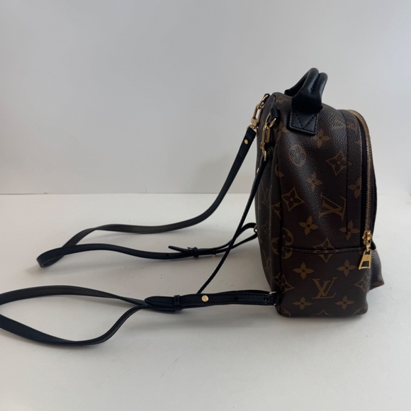 Louis Vuitton Palm Springs Mini Backpack in Monogram - Picture 11 of 16